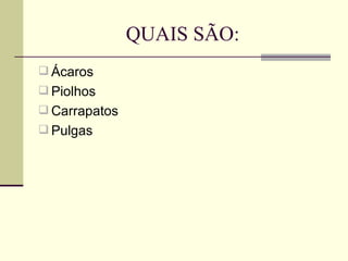QUAIS SÃO: Ácaros Piolhos Carrapatos Pulgas 