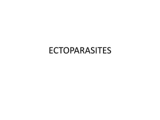ECTOPARASITES
 