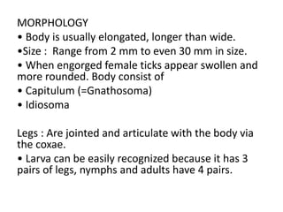 MORPHOLOGY
• Body is usually elongated, longer than wide.
•Size : Range from 2 mm to even 30 mm in size.
• When engorged female ticks appear swollen and
more rounded. Body consist of
• Capitulum (=Gnathosoma)
• Idiosoma
Legs : Are jointed and articulate with the body via
the coxae.
• Larva can be easily recognized because it has 3
pairs of legs, nymphs and adults have 4 pairs.
 