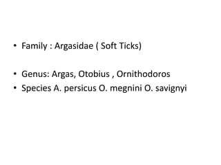 • Family : Argasidae ( Soft Ticks)
• Genus: Argas, Otobius , Ornithodoros
• Species A. persicus O. megnini O. savignyi
 