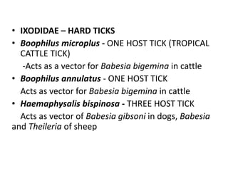 • IXODIDAE – HARD TICKS
• Boophilus microplus - ONE HOST TICK (TROPICAL
CATTLE TICK)
-Acts as a vector for Babesia bigemina in cattle
• Boophilus annulatus - ONE HOST TICK
Acts as vector for Babesia bigemina in cattle
• Haemaphysalis bispinosa - THREE HOST TICK
Acts as vector of Babesia gibsoni in dogs, Babesia
and Theileria of sheep
 