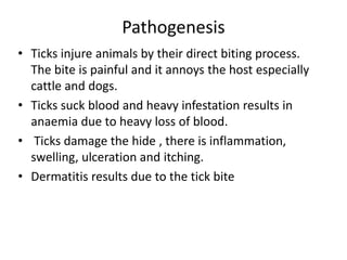 Pathogenesis
• Ticks injure animals by their direct biting process.
The bite is painful and it annoys the host especially
cattle and dogs.
• Ticks suck blood and heavy infestation results in
anaemia due to heavy loss of blood.
• Ticks damage the hide , there is inflammation,
swelling, ulceration and itching.
• Dermatitis results due to the tick bite
 