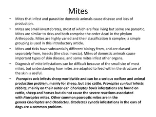 Mites
• Mites that infest and parasitize domestic animals cause disease and loss of
production.
• Mites are small invertebrates, most of which are free living but some are parasitic.
Mites are similar to ticks and both comprise the order Acari in the phylum
Arthropoda. Mites are highly varied and their classification is complex; a simple
grouping is used in this introductory article.
• Mites and ticks have substantially different biology from, and are classed
separately from, insects (the class Insecta). Mites of domestic animals cause
important types of skin disease, and some mites infest other organs.
• Diagnosis of mite infestations can be difficult because of the small size of most
mites, but understanding how mites are adapted to feed within the structure of
the skin is useful.
• Psoroptes ovis infests sheep worldwide and can be a serious welfare and animal
production problem, mainly for sheep, but also cattle. Psoroptes cuniculi infests
rabbits, mainly on their outer ear. Chorioptes bovis infestations are found on
cattle, sheep and horses but do not cause the severe reactions associated
with Psoroptes mites. Other common psoroptic mites are in the
genera Chorioptes and Otodectes. Otodectes cynotis infestations in the ears of
dogs are a common problem.
 