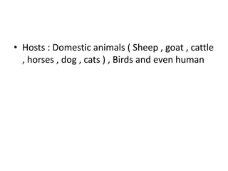 • Hosts : Domestic animals ( Sheep , goat , cattle
, horses , dog , cats ) , Birds and even human
 