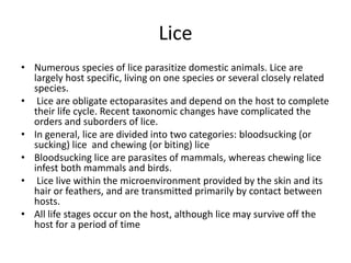 Lice
• Numerous species of lice parasitize domestic animals. Lice are
largely host specific, living on one species or several closely related
species.
• Lice are obligate ectoparasites and depend on the host to complete
their life cycle. Recent taxonomic changes have complicated the
orders and suborders of lice.
• In general, lice are divided into two categories: bloodsucking (or
sucking) lice and chewing (or biting) lice
• Bloodsucking lice are parasites of mammals, whereas chewing lice
infest both mammals and birds.
• Lice live within the microenvironment provided by the skin and its
hair or feathers, and are transmitted primarily by contact between
hosts.
• All life stages occur on the host, although lice may survive off the
host for a period of time
 