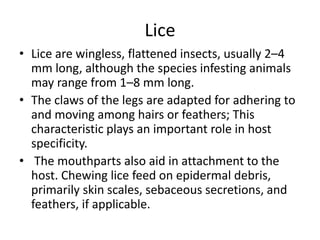 Lice
• Lice are wingless, flattened insects, usually 2–4
mm long, although the species infesting animals
may range from 1–8 mm long.
• The claws of the legs are adapted for adhering to
and moving among hairs or feathers; This
characteristic plays an important role in host
specificity.
• The mouthparts also aid in attachment to the
host. Chewing lice feed on epidermal debris,
primarily skin scales, sebaceous secretions, and
feathers, if applicable.
 