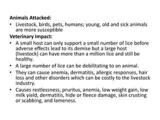 Animals Attacked:
• Livestock, birds, pets, humans; young, old and sick animals
are more susceptible
Veterinary Impact:
• A small host can only support a small number of lice before
adverse effects lead to its demise but a large host
(livestock) can have more than a million lice and still be
healthy.
• A large number of lice can be debilitating to an animal.
• They can cause anemia, dermatitis, allergic responses, hair
loss and other disorders which can be costly to the livestock
industry.
• Causes restlessness, pruritus, anemia, low weight gain, low
milk yield, dermatitis, hide or fleece damage, skin crusting
or scabbing, and lameness.
 