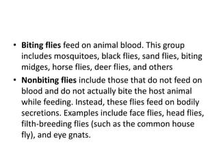 • Biting flies feed on animal blood. This group
includes mosquitoes, black flies, sand flies, biting
midges, horse flies, deer flies, and others
• Nonbiting flies include those that do not feed on
blood and do not actually bite the host animal
while feeding. Instead, these flies feed on bodily
secretions. Examples include face flies, head flies,
filth-breeding flies (such as the common house
fly), and eye gnats.
 