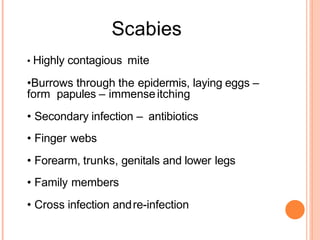 Scabies
• Highly contagious mite
•Burrows through the epidermis, laying eggs –
form papules – immenseitching
• Secondary infection – antibiotics
• Finger webs
• Forearm, trunks, genitals and lower legs
• Family members
• Cross infection andre-infection
 