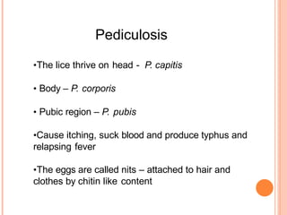 Pediculosis
•The lice thrive on head - P. capitis
• Body – P. corporis
• Pubic region – P. pubis
•Cause itching, suck blood and produce typhus and
relapsing fever
•The eggs are called nits – attached to hair and
clothes by chitin like content
 
