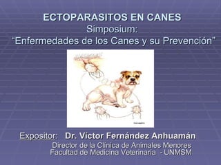 Expositor :  Dr. Víctor Fernández Anhuamán   Director de la Clínica de Animales Menores  Facultad de Medicina Veterinaria  - UNMSM ECTOPARASITOS EN CANES   Simposium:  “Enfermedades de los Canes y su Prevención” 