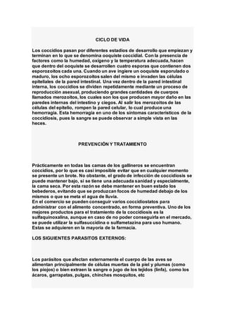 CICLO DE VIDA
Los coccidios pasan por diferentes estadios de desarrollo que empiezan y
terminan en lo que se denomina ooquiste coccidial. Con la presencia de
factores como la humedad, oxígeno y la temperatura adecuada, hacen
que dentro del ooquiste se desarrollen cuatro esporas que contienen dos
esporozoitos cada una. Cuando un ave ingiere un ooquiste esporulado o
maduro, los ocho esporozoitos salen del mismo e invaden las células
epiteliales de la pared intestinal. Una vez dentro de la pared intestinal
interna, los coccidios se dividen repetidamente mediante un proceso de
reproducción asexual, produciendo grandes cantidades de cuerpos
llamados merozoitos, los cuales son los que producen mayor daño en las
paredes internas del intestino y ciegos. Al salir los merozoitos de las
células del epitelio, rompen la pared celular, lo cual produce una
hemorragia. Esta hemorragia en uno de los síntomas característicos de la
coccidiosis, pues la sangre se puede observar a simple vista en las
heces.
PREVENCIÓN Y TRATAMIENTO
Prácticamente en todas las camas de los gallineros se encuentran
coccidios, por lo que es casi imposible evitar que en cualquier momento
se presente un brote. No obstante, el grado de infección de coccidiosis se
puede mantener bajo, si se tiene una adecuada sanidad y especialmente,
la cama seca. Por esta razón se debe mantener en buen estado los
bebederos, evitando que se produzcan focos de humedad debajo de los
mismos o que se meta el agua de lluvia.
En el comercio se pueden conseguir varios coccidiostatos para
administrar con el alimento concentrado, en forma preventiva. Uno de los
mejores productos para el tratamiento de la coccidiosis es la
sulfaquinoxalina, aunque en caso de no poder conseguirla en el mercado,
se puede utilizar la sulfasuccidina o sulfametazina para uso humano.
Estas se adquieren en la mayoría de la farmacia.
LOS SIGUIENTES PARASITOS EXTERNOS:
Los parásitos que afectan externamente el cuerpo de las aves se
alimentan principalmente de células muertas de la piel y plumas (como
los piojos) o bien extraen la sangre o jugo de los tejidos (linfa), como los
ácaros, garrapatas, pulgas, chinches mosquitos, etc
 