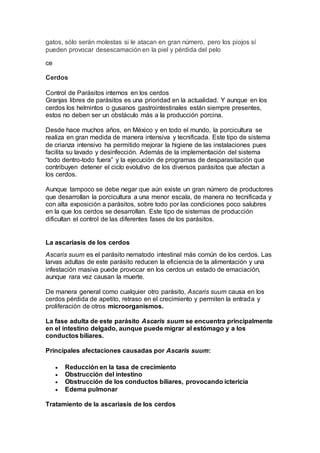gatos, sólo serán molestas si le atacan en gran número, pero los piojos sí
pueden provocar desescamación en la piel y pérdida del pelo
ce
Cerdos
Control de Parásitos internos en los cerdos
Granjas libres de parásitos es una prioridad en la actualidad. Y aunque en los
cerdos los helmintos o gusanos gastrointestinales están siempre presentes,
estos no deben ser un obstáculo más a la producción porcina.
Desde hace muchos años, en México y en todo el mundo, la porcicultura se
realiza en gran medida de manera intensiva y tecnificada. Este tipo de sistema
de crianza intensivo ha permitido mejorar la higiene de las instalaciones pues
facilita su lavado y desinfección. Además de la implementación del sistema
“todo dentro-todo fuera” y la ejecución de programas de desparasitación que
contribuyen detener el ciclo evolutivo de los diversos parásitos que afectan a
los cerdos.
Aunque tampoco se debe negar que aún existe un gran número de productores
que desarrollan la porcicultura a una menor escala, de manera no tecnificada y
con alta exposición a parásitos, sobre todo por las condiciones poco salubres
en la que los cerdos se desarrollan. Este tipo de sistemas de producción
dificultan el control de las diferentes fases de los parásitos.
La ascariasis de los cerdos
Ascaris suum es el parásito nematodo intestinal más común de los cerdos. Las
larvas adultas de este parásito reducen la eficiencia de la alimentación y una
infestación masiva puede provocar en los cerdos un estado de emaciación,
aunque rara vez causan la muerte.
De manera general como cualquier otro parásito, Ascaris suum causa en los
cerdos pérdida de apetito, retraso en el crecimiento y permiten la entrada y
proliferación de otros microorganismos.
La fase adulta de este parásito Ascaris suum se encuentra principalmente
en el intestino delgado, aunque puede migrar al estómago y a los
conductos biliares.
Principales afectaciones causadas por Ascaris suum:
 Reducción en la tasa de crecimiento
 Obstrucción del intestino
 Obstrucción de los conductos biliares, provocando ictericia
 Edema pulmonar
Tratamiento de la ascariasis de los cerdos
 