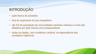 INTRODUÇÃO
• ação lesiva de parasitas
• fora do organismo do seu hospedeiro
• até 2/3 da população de comunidades carentes urbanas e rurais são
afetados por pelo menos uma ectoparasitose
• todas as idades, com incidência variável, na dependência das
condições higiênicas
 