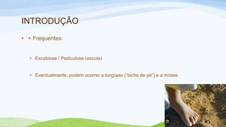 INTRODUÇÃO
• + Frequentes:
• Escabiose / Pediculose (escola)
• Eventualmente, podem ocorrer a tungíase (“bicho de pé”) e a miíase
 
