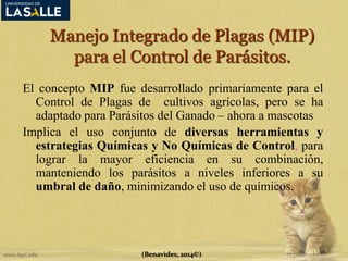 Manejo Integrado de Plagas (MIP) 
para el Control de Parásitos. 
El concepto MIP fue desarrollado primariamente para el 
Control de Plagas de cultivos agrícolas, pero se ha 
adaptado para Parásitos del Ganado – ahora a mascotas 
Implica el uso conjunto de diversas herramientas y 
estrategias Químicas y No Químicas de Control, para 
lograr la mayor eficiencia en su combinación, 
manteniendo los parásitos a niveles inferiores a su 
umbral de daño, minimizando el uso de químicos. 
(Benavides, 2014©) 
 