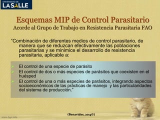 Esquemas MIP de Control Parasitario 
Acorde al Grupo de Trabajo en Resistencia Parasitaria FAO 
“Combinación de diferentes medios de control parasitario, de 
manera que se reduzcan efectivamente las poblaciones 
parasitarias y se minimice el desarrollo de resistencia 
parasitaria, aplicable a: 
 El control de una especie de parásito 
 El control de dos o más especies de parásitos que coexisten en el 
(Benavides, 2014©) 
huésped 
 El control de una o más especies de parásitos, integrando aspectos 
socioeconómicos de las prácticas de manejo y las particularidades 
del sistema de producción.” 
 