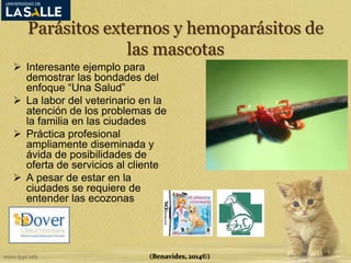 Parásitos externos y hemoparásitos de 
las mascotas 
 Interesante ejemplo para 
demostrar las bondades del 
enfoque “Una Salud” 
 La labor del veterinario en la 
atención de los problemas de 
la familia en las ciudades 
 Práctica profesional 
ampliamente diseminada y 
ávida de posibilidades de 
oferta de servicios al cliente 
 A pesar de estar en la 
ciudades se requiere de 
entender las ecozonas 
(Benavides, 2014©) 
 