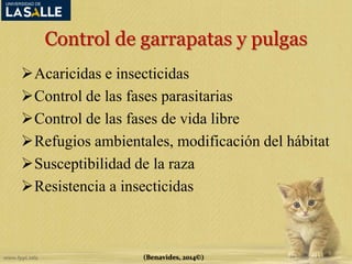 Control de garrapatas y pulgas 
Acaricidas e insecticidas 
Control de las fases parasitarias 
Control de las fases de vida libre 
Refugios ambientales, modificación del hábitat 
Susceptibilidad de la raza 
Resistencia a insecticidas 
(Benavides, 2014©) 
 