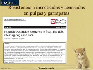 Resistencia a insecticidas y acaricidas 
en pulgas y garrapatas 
(Benavides, 2014©) 
 