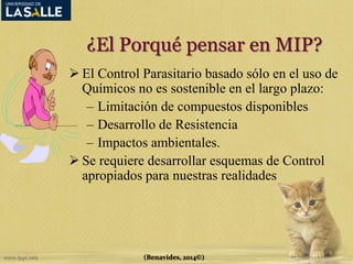 ¿El Porqué pensar en MIP? 
 El Control Parasitario basado sólo en el uso de 
Químicos no es sostenible en el largo plazo: 
– Limitación de compuestos disponibles 
– Desarrollo de Resistencia 
– Impactos ambientales. 
 Se requiere desarrollar esquemas de Control 
apropiados para nuestras realidades 
(Benavides, 2014©) 
 