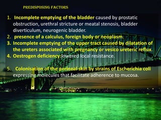 Predisposing factors

1. Incomplete emptying of the bladder caused by prostatic
   obstruction, urethral stricture or meatal stenosis, bladder
   diverticulum, neurogenic bladder.
2. presence of a calculus, foreign body or neoplasm.
3. Incomplete emptying of the upper tract caused by dilatation of
   the ureters associated with pregnancy or vesico ureteric reflux.
4. Oestrogen deficiency:lowered local resistance.

5. Colonisation of the perineal skin by strains of Escherichia coli
  expressing molecules that facilitate adherence to mucosa.
 