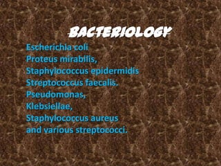 Bacteriology
Escherichia coli
Proteus mirabilis,
Staphylococcus epidermidis
Streptococcus faecalis.
Pseudomonas,
Klebsiellae,
Staphylococcus aureus
and various streptococci.
 