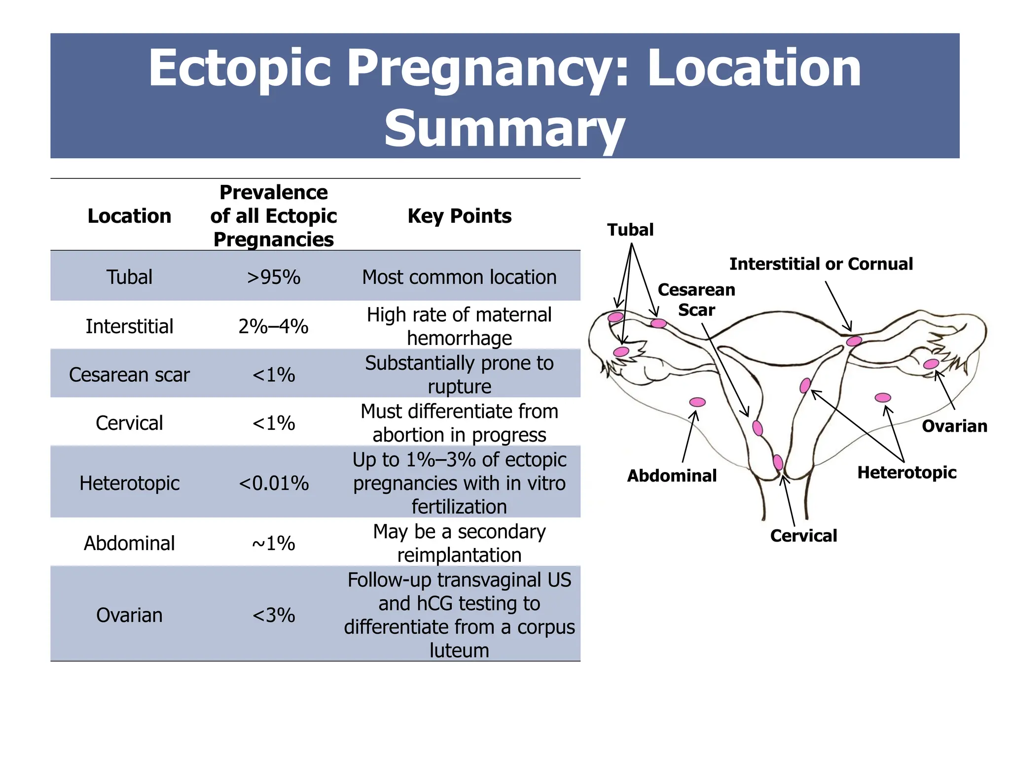 Tubal
Cervical
Abdominal
Ovarian
Cesarean
Scar
Heterotopic
Interstitial or Cornual
Ectopic Pregnancy: Location
Summary
Location
Prevalence
of all Ectopic
Pregnancies
Key Points
Tubal >95% Most common location
Interstitial 2%–4%
High rate of maternal
hemorrhage
Cesarean scar <1%
Substantially prone to
rupture
Cervical <1%
Must differentiate from
abortion in progress
Heterotopic <0.01%
Up to 1%–3% of ectopic
pregnancies with in vitro
fertilization
Abdominal ~1%
May be a secondary
reimplantation
Ovarian <3%
Follow-up transvaginal US
and hCG testing to
differentiate from a corpus
luteum
 