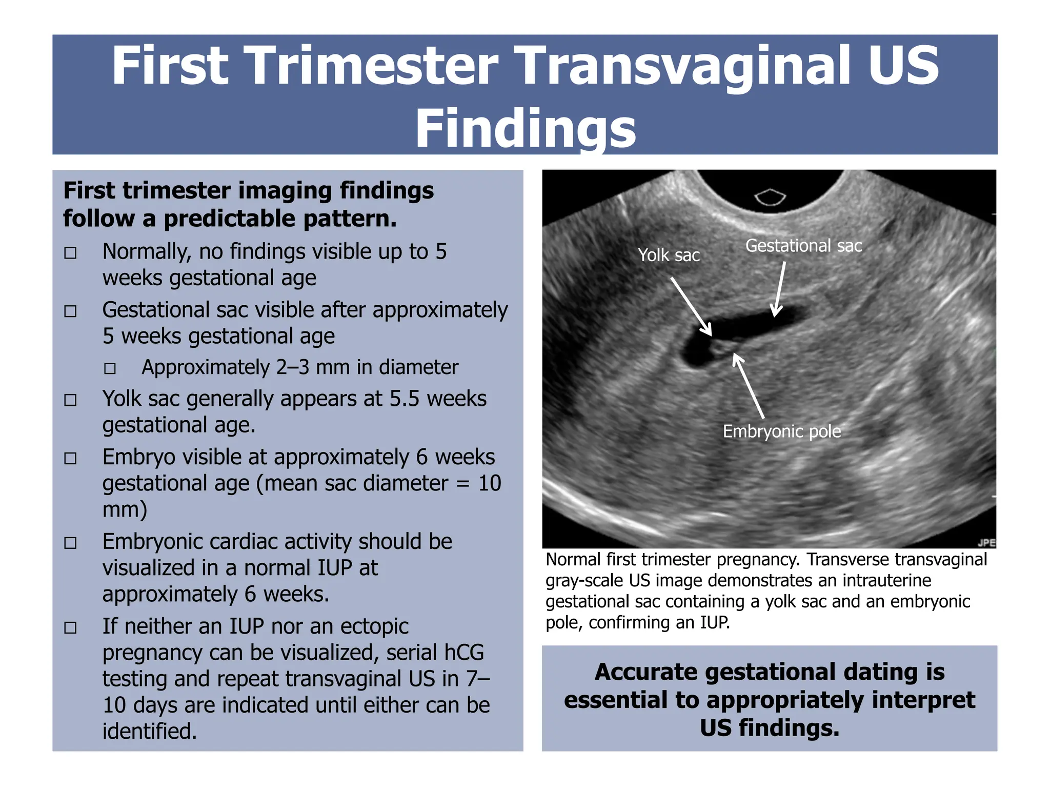 First Trimester Transvaginal US
Findings
First trimester imaging findings
follow a predictable pattern.
 Normally, no findings visible up to 5
weeks gestational age
 Gestational sac visible after approximately
5 weeks gestational age
 Approximately 2–3 mm in diameter
 Yolk sac generally appears at 5.5 weeks
gestational age.
 Embryo visible at approximately 6 weeks
gestational age (mean sac diameter = 10
mm)
 Embryonic cardiac activity should be
visualized in a normal IUP at
approximately 6 weeks.
 If neither an IUP nor an ectopic
pregnancy can be visualized, serial hCG
testing and repeat transvaginal US in 7–
10 days are indicated until either can be
identified.
Accurate gestational dating is
essential to appropriately interpret
US findings.
Gestational sac
Yolk sac
Embryonic pole
Normal first trimester pregnancy. Transverse transvaginal
gray-scale US image demonstrates an intrauterine
gestational sac containing a yolk sac and an embryonic
pole, confirming an IUP.
 