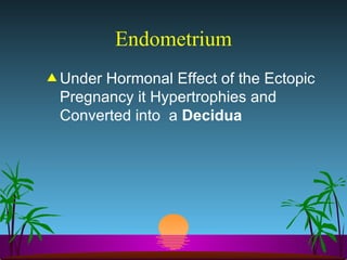 Endometrium Under Hormonal Effect of the Ectopic Pregnancy it Hypertrophies and Converted into  a  Decidua 