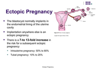 Ectopic Pregnancy The blastocyst normally implants in the endometrial lining of the uterine cavity Implantation anywhere else is an ectopic pregnancy There is a  7-to 13-fold increase  in the risk for a subsequent ectopic pregnancy Intrauterine pregnancy: 50% to 80%  Tubal pregnancy: 10% to 25% 