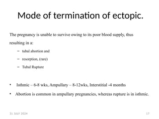 17
Mode of termination of ectopic.
The pregnancy is unable to survive owing to its poor blood supply, thus
resulting in a:
– tubal abortion and
– resorption, (rare)
– Tubal Rupture
• Isthmic – 6-8 wks, Ampullary – 8-12wks, Interstitial -4 months
• Abortion is common in ampullary pregnancies, whereas rupture is in isthmic.
31 JULY 2024
 