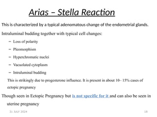18
Arias – Stella Reaction
This is characterized by a typical adenomatous change of the endometrial glands.
Intraluminal budding together with typical cell changes:
– Loss of polarity
– Pleomorphism
– Hyperchromatic nuclei
– Vacuolated cytoplasm
– Intraluminal budding
This is strikingly due to progesterone influence. It is present in about 10– 15% cases of
ectopic pregnancy
Though seen in Ectopic Pregnancy but is not specific for it and can also be seen in
uterine pregnancy
31 JULY 2024
 