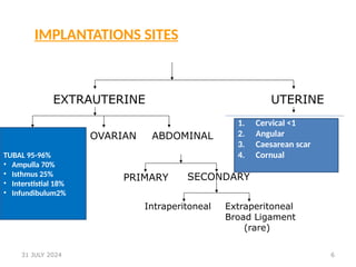 6
IMPLANTATIONS SITES
EXTRAUTERINE UTERINE
OVARIAN ABDOMINAL
PRIMARY SECONDARY
Intraperitoneal Extraperitoneal
Broad Ligament
(rare)
1. Cervical <1
2. Angular
3. Caesarean scar
4. Cornual
TUBAL 95-96%
• Ampulla 70%
• Isthmus 25%
• Interstistial 18%
• Infundibulum2%
31 JULY 2024
 