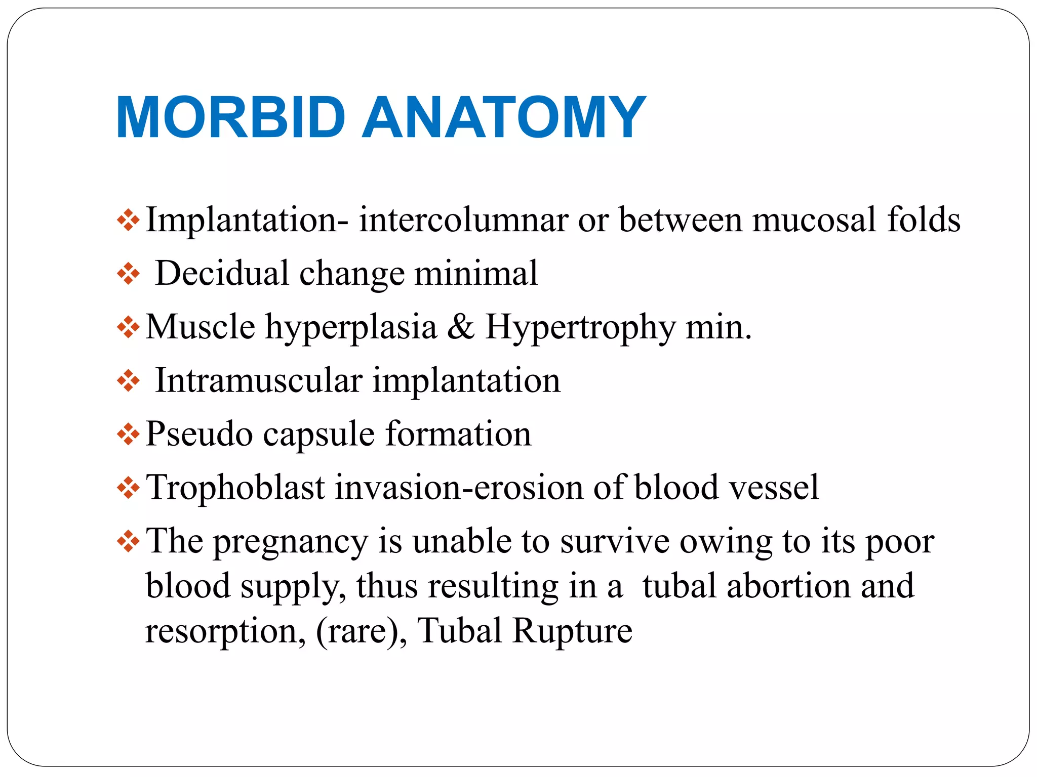MORBID ANATOMY
Implantation- intercolumnar or between mucosal folds
 Decidual change minimal
Muscle hyperplasia & Hypertrophy min.
 Intramuscular implantation
Pseudo capsule formation
Trophoblast invasion-erosion of blood vessel
The pregnancy is unable to survive owing to its poor
blood supply, thus resulting in a tubal abortion and
resorption, (rare), Tubal Rupture
 