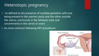 Heterotopic pregnancy
 its defined as the presence of multiple gestation with one
being present in the uterine cavity and the other outside
the uterus ,commonly in the fallopian tube and
uncommonly in the cervix or ovary
 Its more common following ART procedures
 