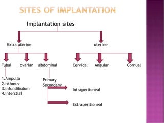 Implantation sites
Extra uterine uterine
Tubal ovarian abdominal Cervical Angular Cornual
1.Ampulla
2.Isthmus
3.Infundibulum
4.Interstial
Primary
Secondary
Intraperitoneal
Extraperitioneal
 