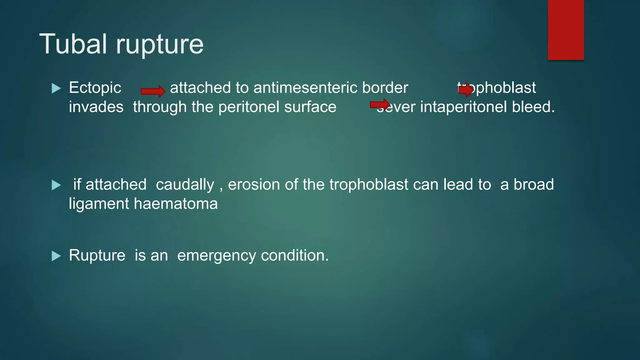 Tubal rupture
 Ectopic attached to antimesenteric border trophoblast
invades through the peritonel surface sever intaperitonel bleed.
 if attached caudally , erosion of the trophoblast can lead to a broad
ligament haematoma
 Rupture is an emergency condition.
 