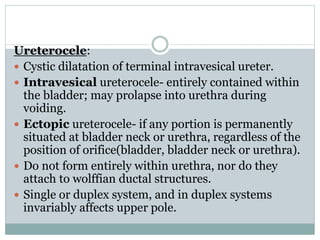 Ureterocele:
 Cystic dilatation of terminal intravesical ureter.
 Intravesical ureterocele- entirely contained within
the bladder; may prolapse into urethra during
voiding.
 Ectopic ureterocele- if any portion is permanently
situated at bladder neck or urethra, regardless of the
position of orifice(bladder, bladder neck or urethra).
 Do not form entirely within urethra, nor do they
attach to wolffian ductal structures.
 Single or duplex system, and in duplex systems
invariably affects upper pole.
 