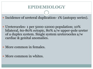 EPIDEMIOLOGY
 Incidence of ureteral duplication- 1% (autopsy series).
 Ureteroceles- 1 per 5000-12000 population; 10%
bilateral, 60-80% ectopic, 80% a/w upper-pole ureter
of a duplex system. Single system ureteroceles a/w
cardiac & genital anomalies.
 More common in females.
 More common in whites.
 