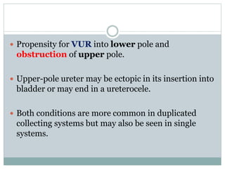  Propensity for VUR into lower pole and
obstruction of upper pole.
 Upper-pole ureter may be ectopic in its insertion into
bladder or may end in a ureterocele.
 Both conditions are more common in duplicated
collecting systems but may also be seen in single
systems.
 
