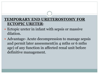 TEMPORARY END URETEROSTOMY FOR
ECTOPIC URETER:
 Ectopic ureter in infant with sepsis or massive
dilation.
 Advantage- Acute decompression to manage sepsis
and permit later assessment(in 4 mths or 6 mths
age) of any function in affected renal unit before
definitive management.
 