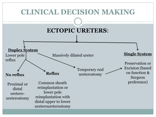 CLINICAL DECISION MAKING
ECTOPIC URETERS:
Duplex System
Single System
Preservation or
Excision (based
on function &
Surgeon
preference)
Lower pole
reflux
No reflux
Proximal or
distal
uretero-
ureterostomy
Reflux
Common sheath
reimplantation or
lower pole
reimplantation with
distal upper to lower
ureteroureterostomy
Massively dilated ureter
Temporary end
ureterostomy
 