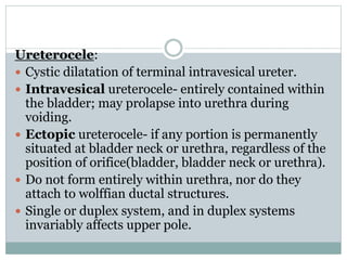 Ureterocele:
 Cystic dilatation of terminal intravesical ureter.
 Intravesical ureterocele- entirely contained within
th...