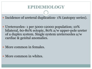 PRENATAL IMAGING DETECTION
 Majority of ectopic ureters & ureteroceles detected
on prenatal USG, even if no specific diag...