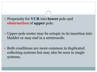  Propensity for VUR into lower pole and
obstruction of upper pole.
 Upper-pole ureter may be ectopic in its insertion in...