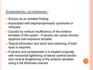CONGENITAL ECTROPION:-
 Occurs as an isolated finding.
 Associated with blepharophimosis syndrome or
icthyosis.
 Caused by vertical insufficiency of the anterior
lamellae of the eyelid – if severe can cause chronic
epiphora and exposure keratitis.
 Topical lubrication and short term patching of both
eyes is required.
 If severe and symptomatic it is treated surgically
with horizontal tightening of lateral canthal tendon
and vertical lengthening of the anterior lamellae
using a full thickness sutures.
 