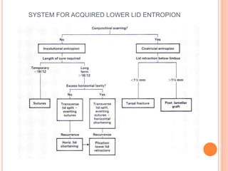 SYSTEM FOR ACQUIRED LOWER LID ENTROPION
 