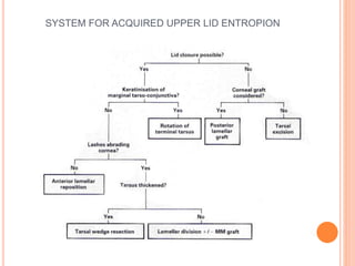 SYSTEM FOR ACQUIRED UPPER LID ENTROPION
 