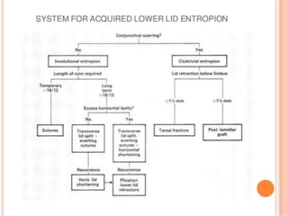 Ectropion and Entropion.pptx